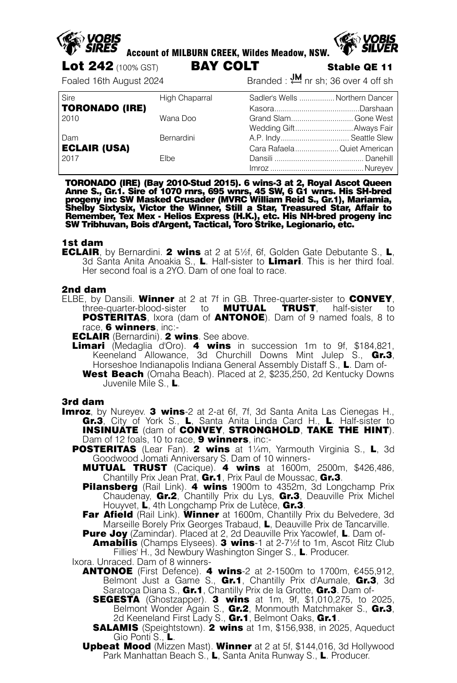 Pedigree - Lot 242