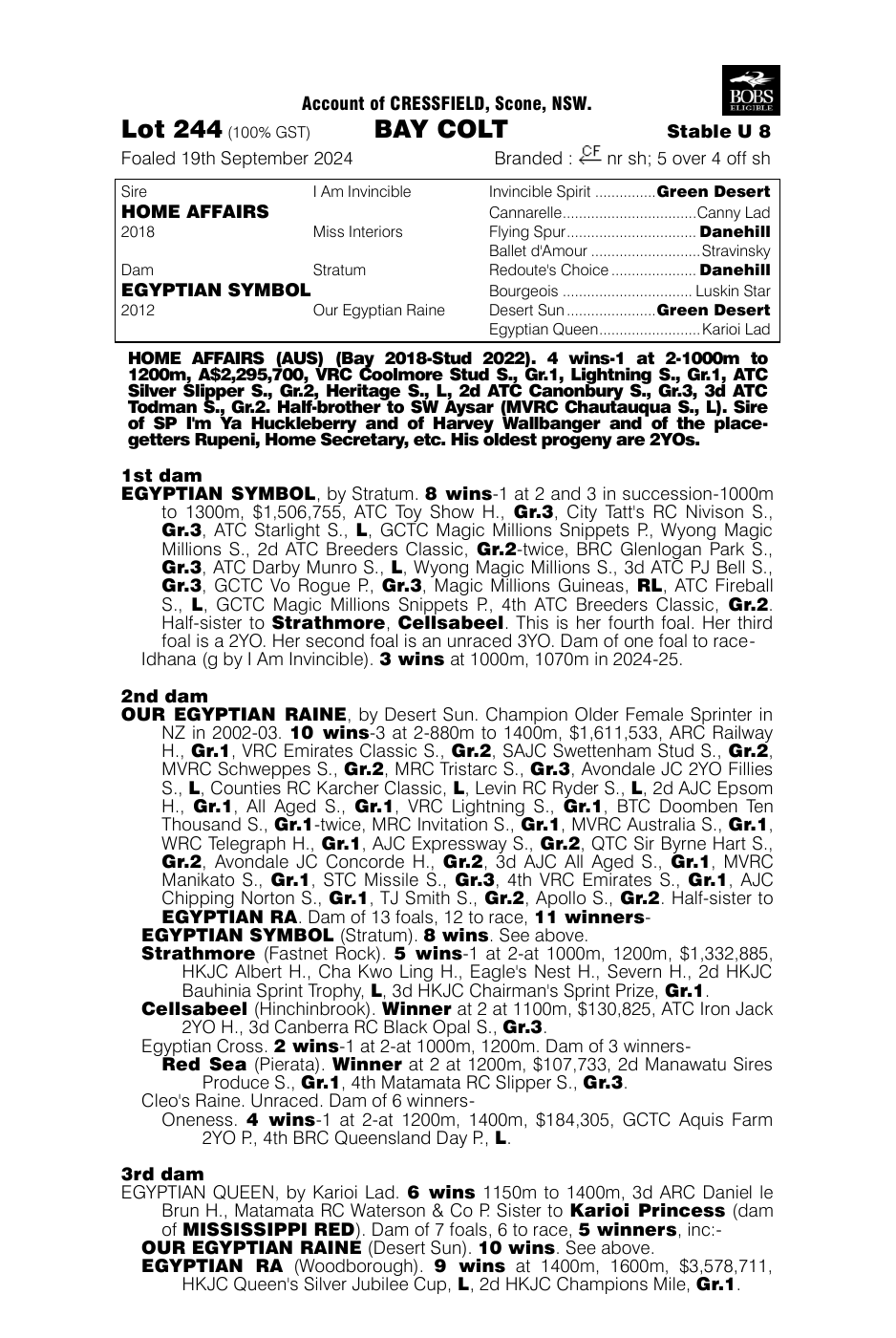 Pedigree - Lot 244