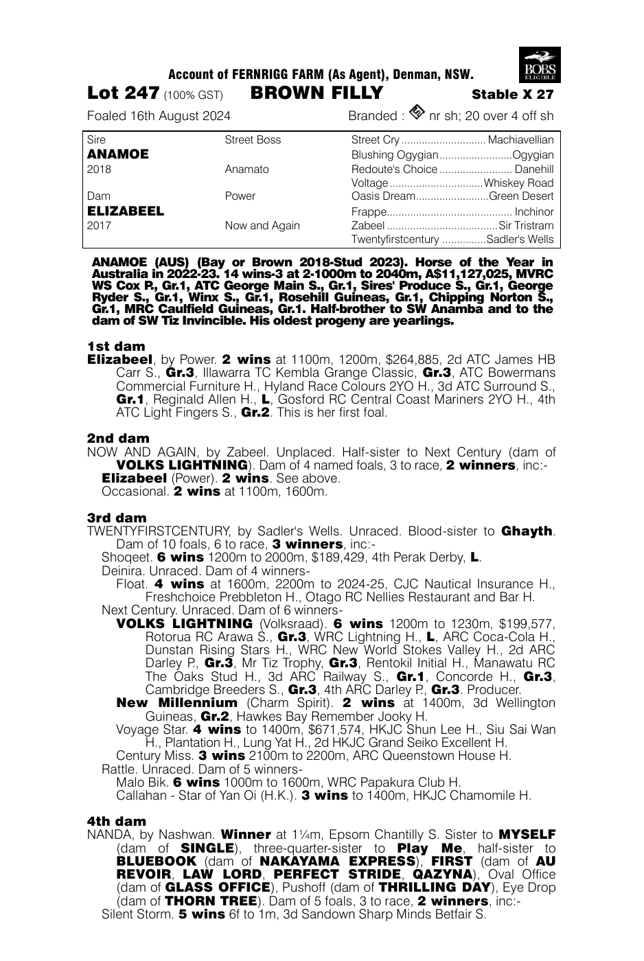 Pedigree - Lot 247