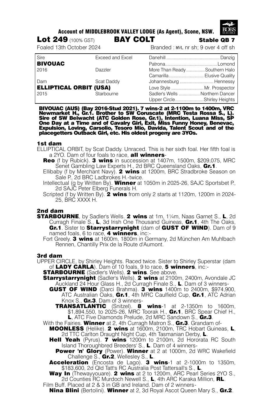 Pedigree - Lot 249