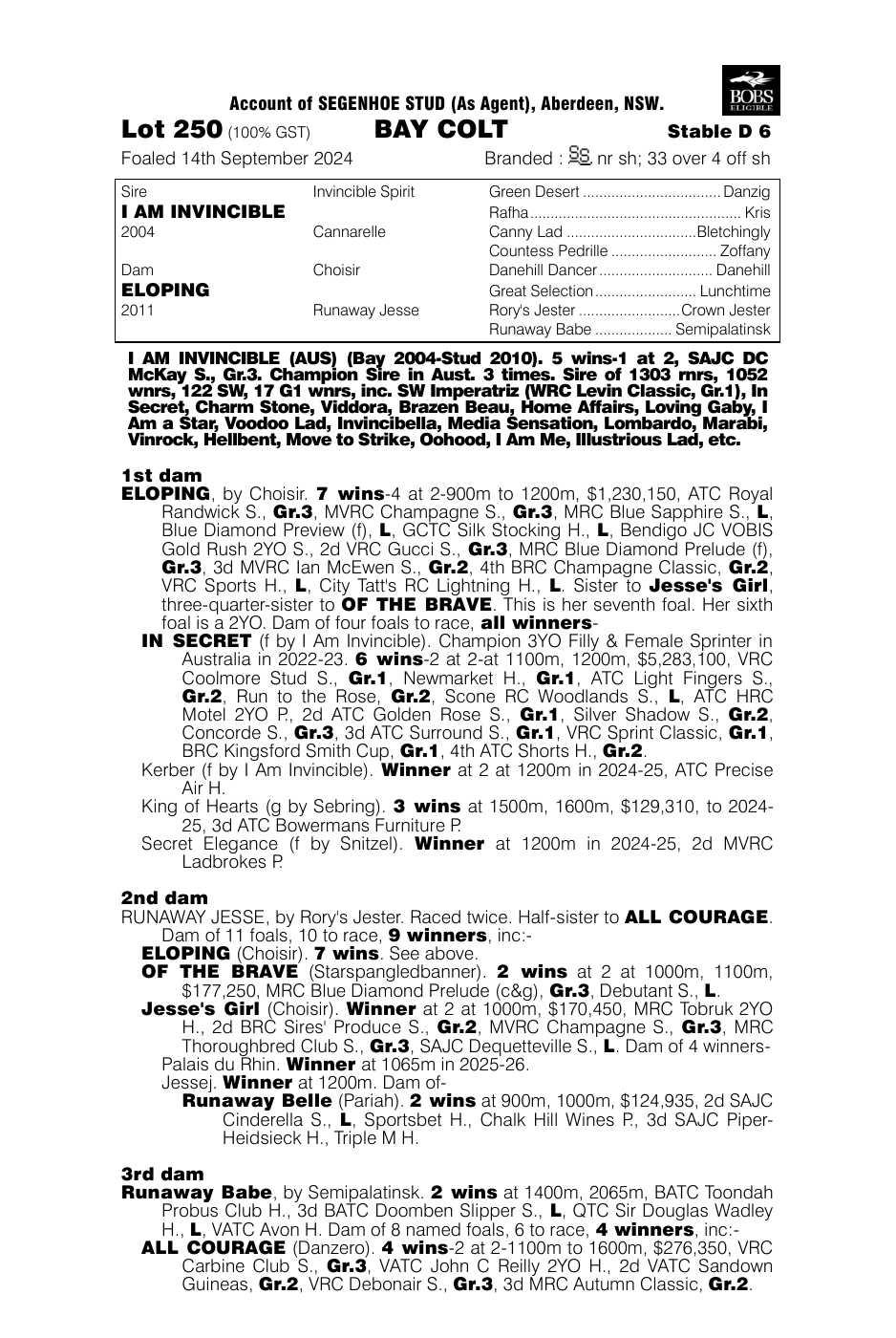 Pedigree - Lot 250