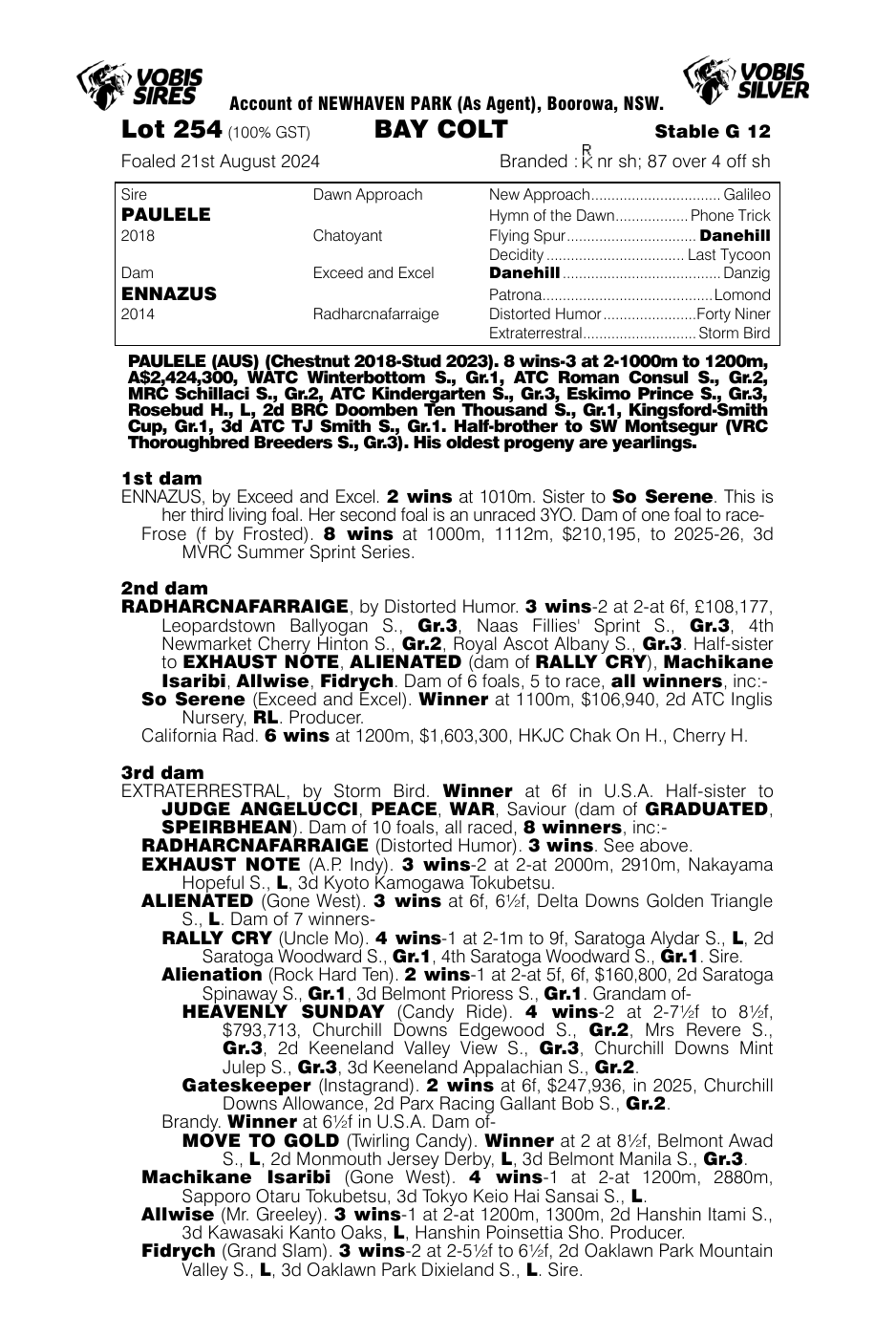 Pedigree - Lot 254