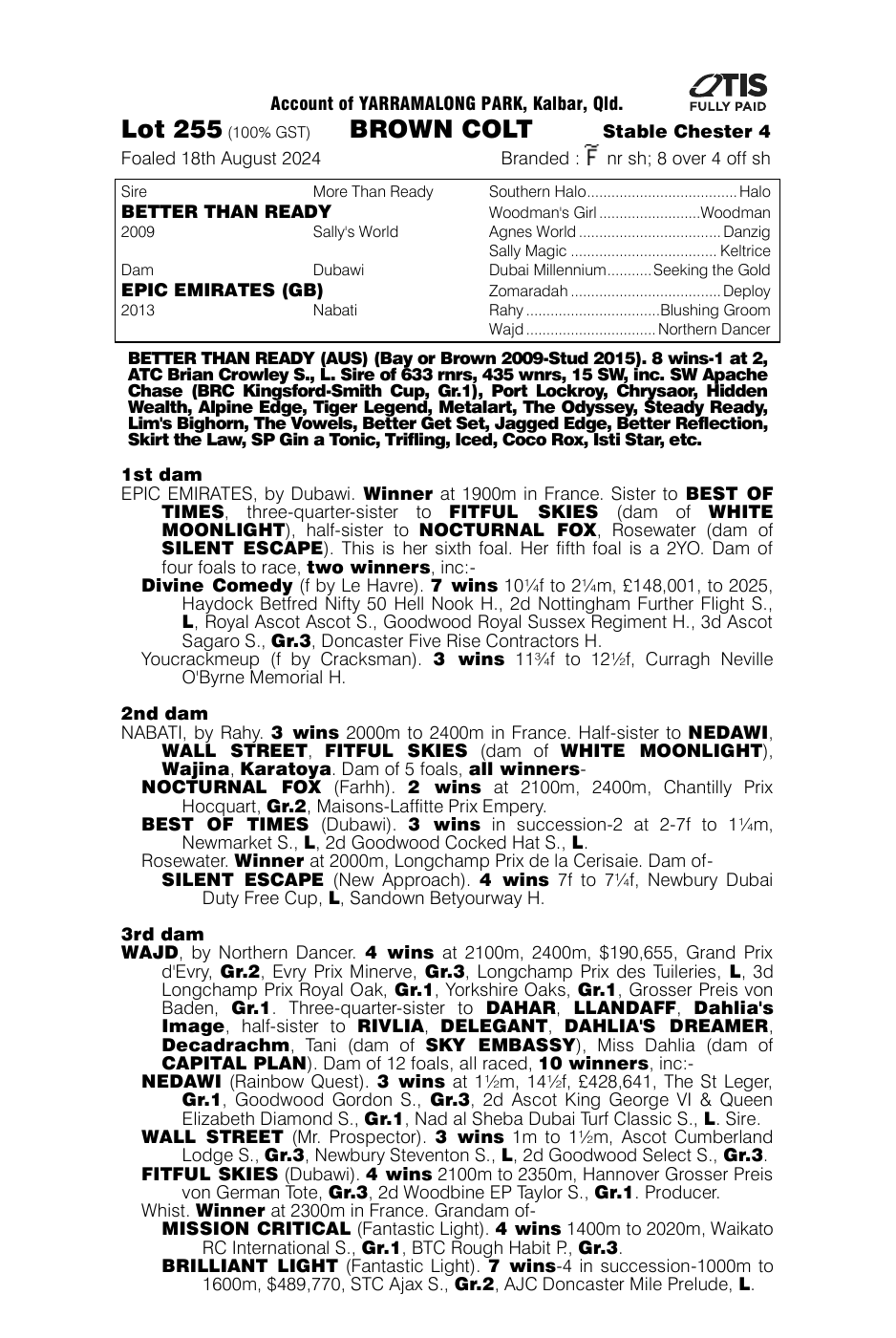 Pedigree - Lot 255