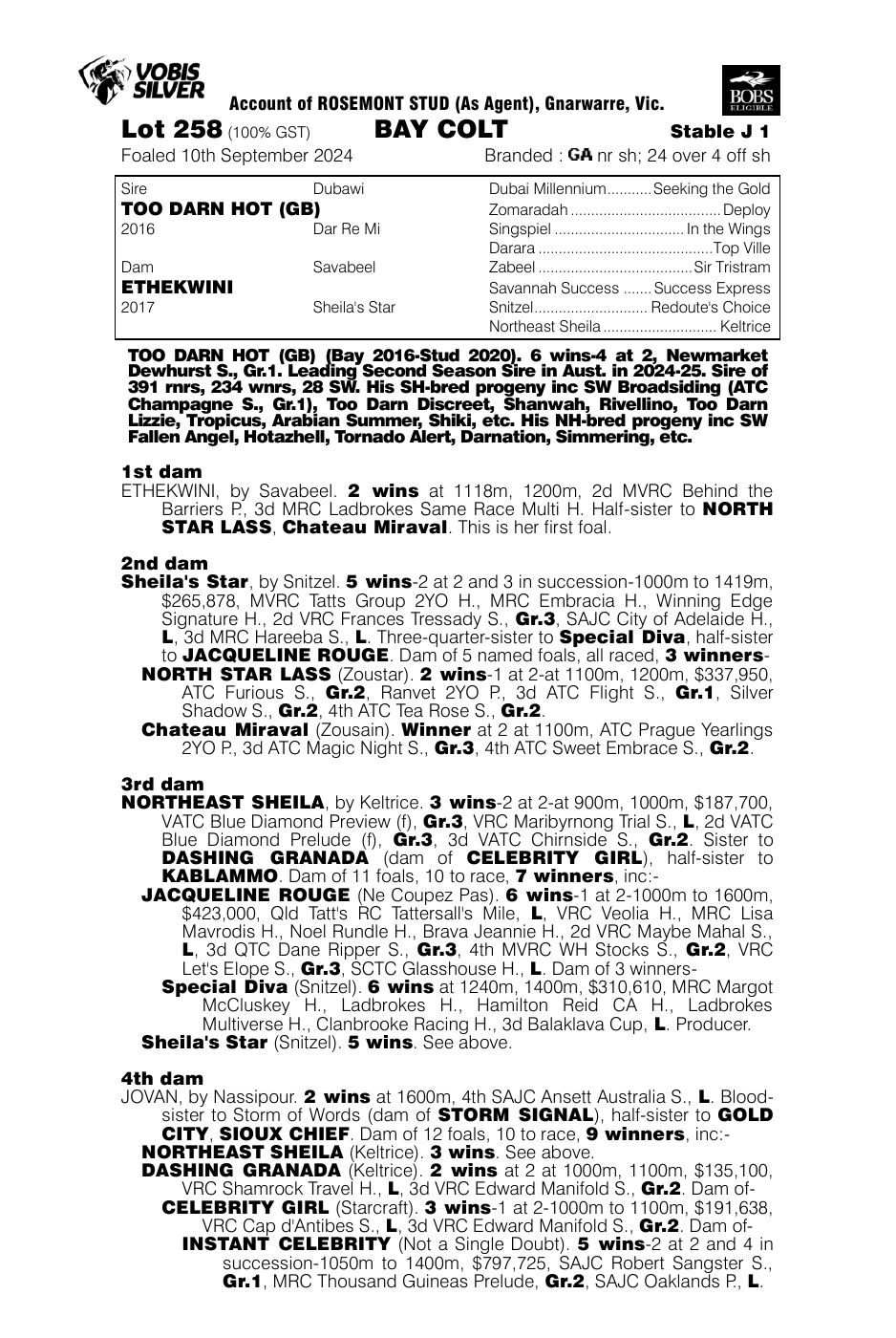 Pedigree - Lot 258