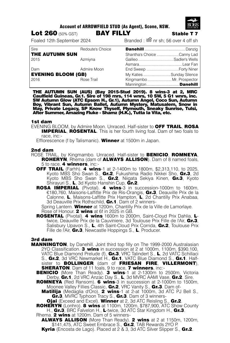 Pedigree - Lot 260