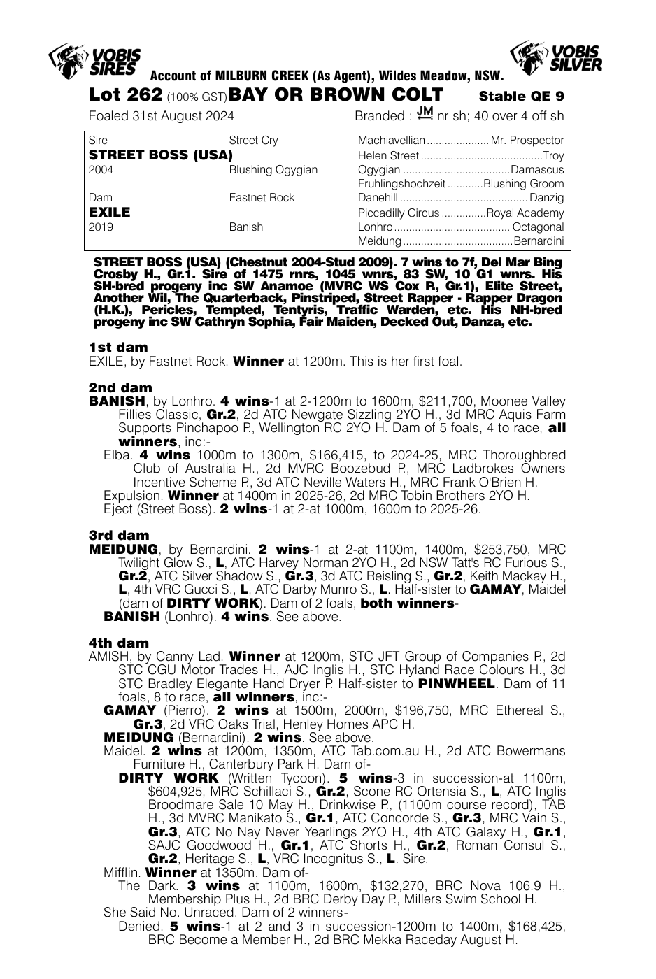 Pedigree - Lot 262