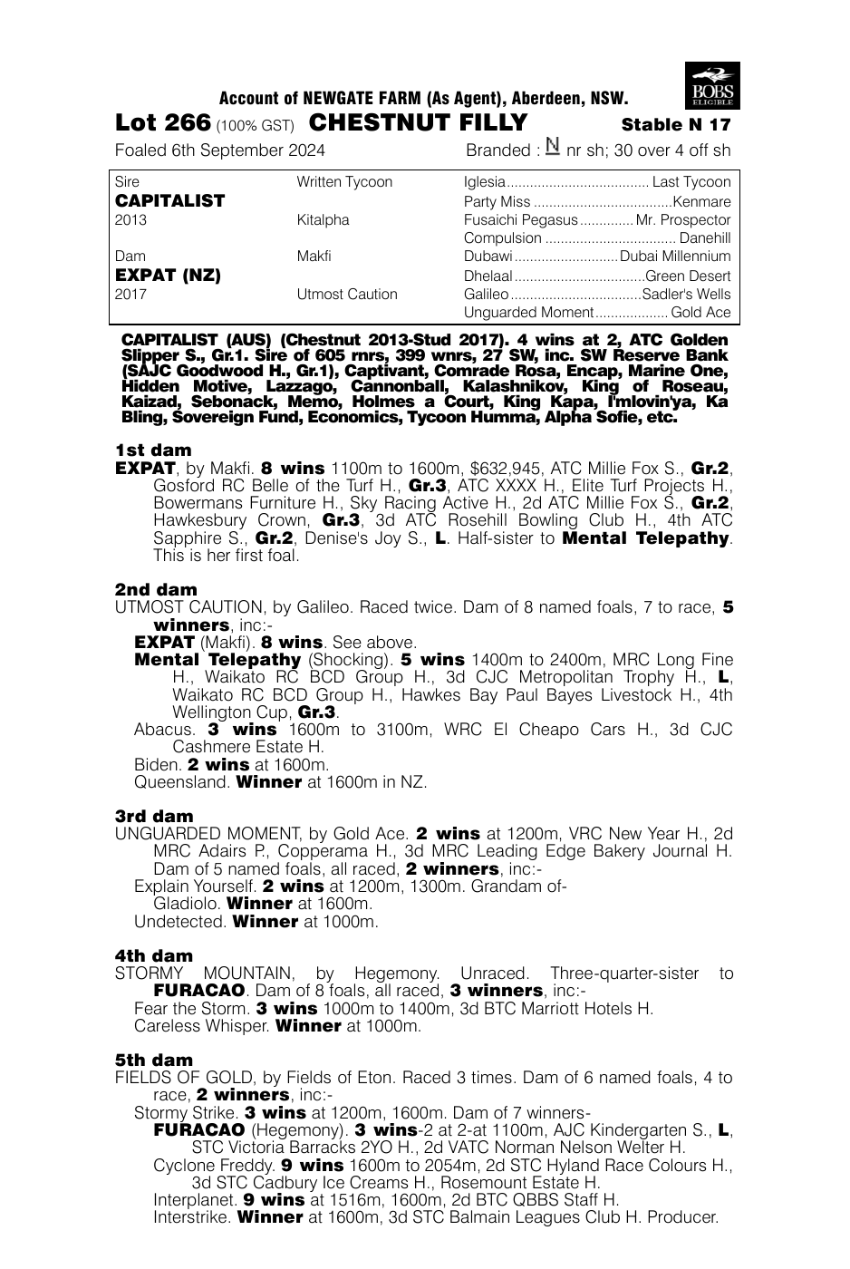 Pedigree - Lot 266