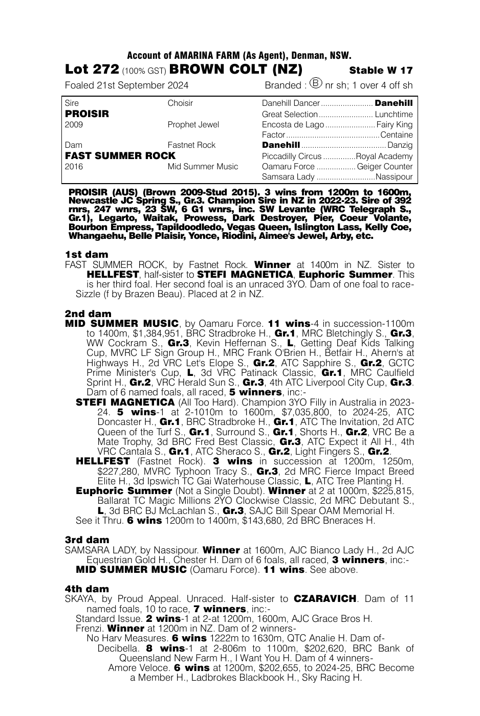 Pedigree - Lot 272