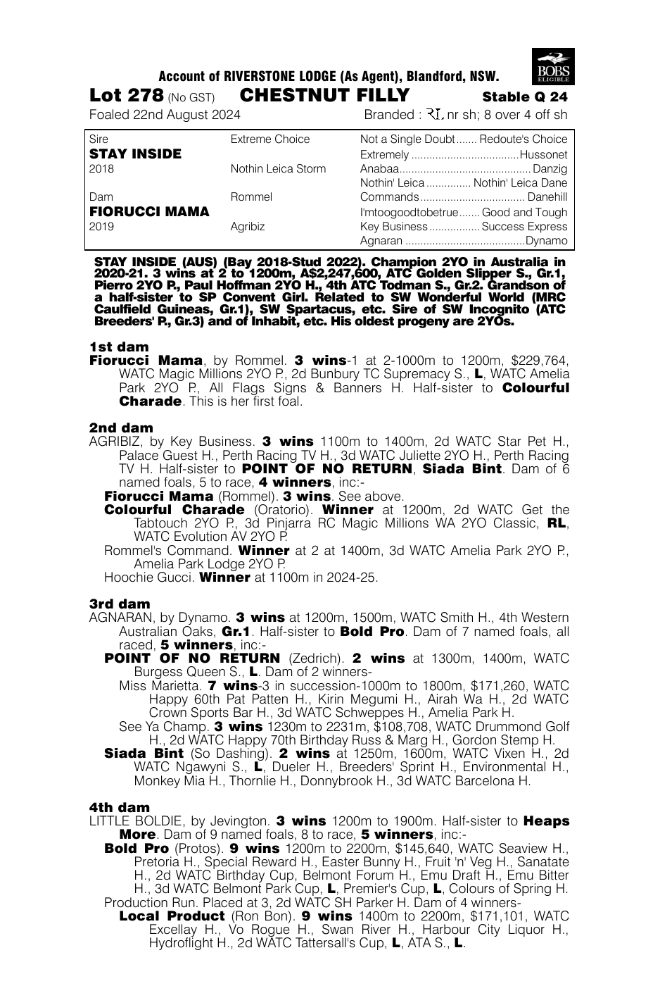 Pedigree - Lot 278