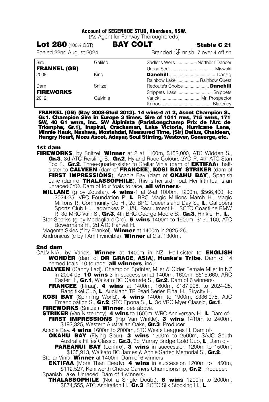 Pedigree - Lot 280
