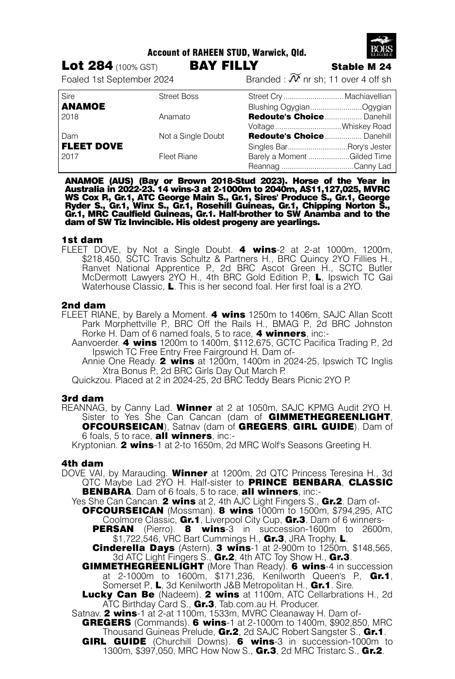 Pedigree - Lot 284