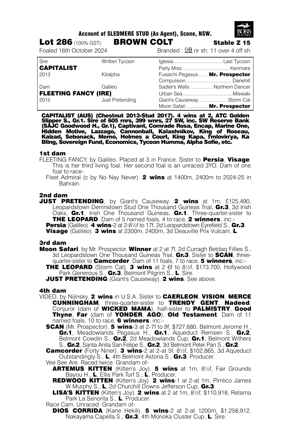 Pedigree - Lot 286