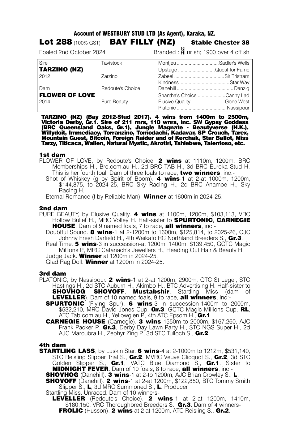 Pedigree - Lot 288