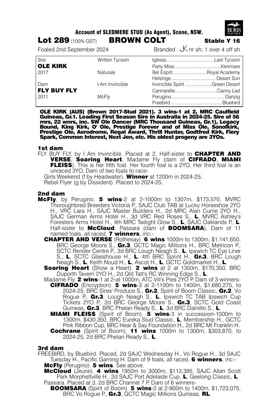 Pedigree - Lot 289