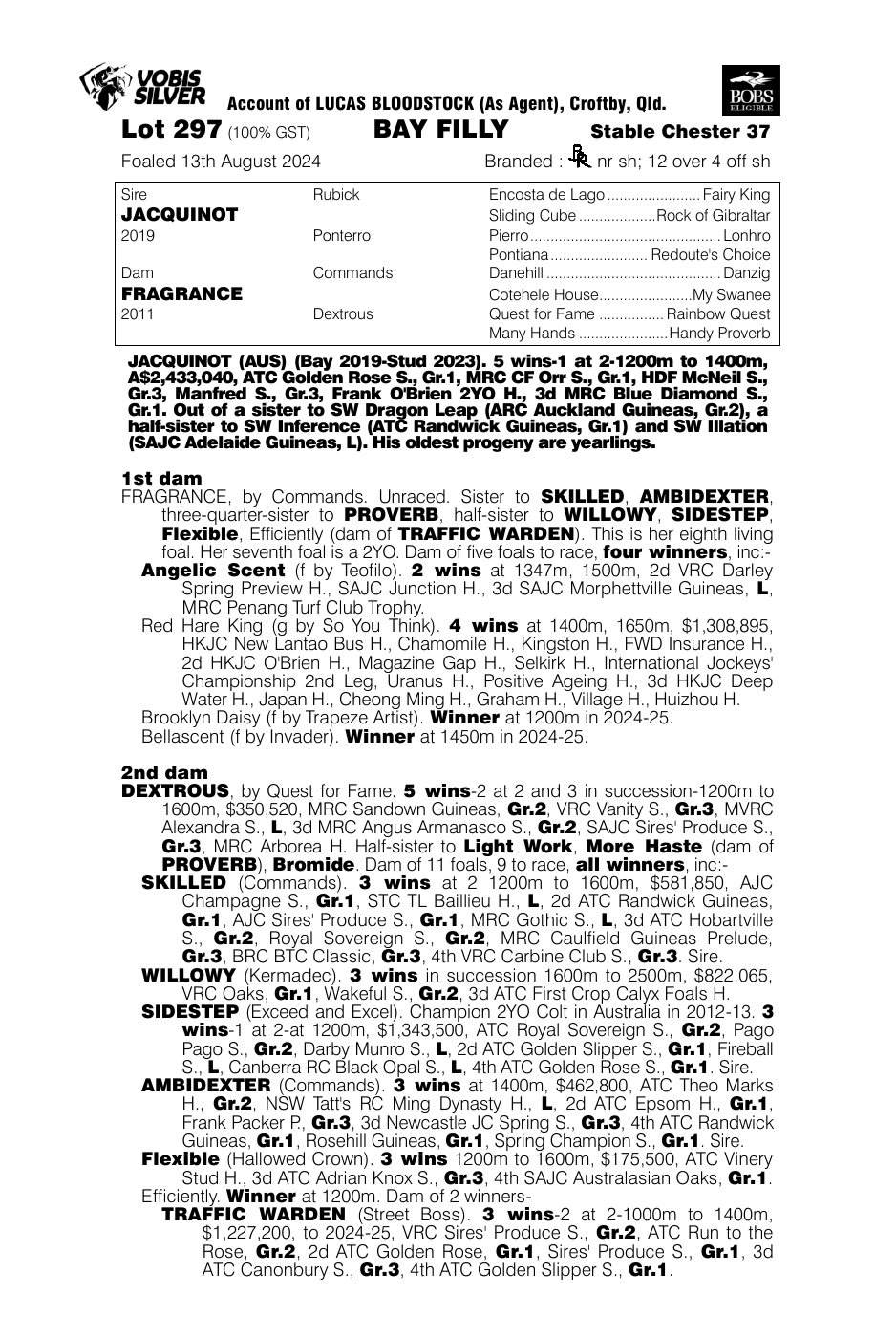 Pedigree - Lot 297
