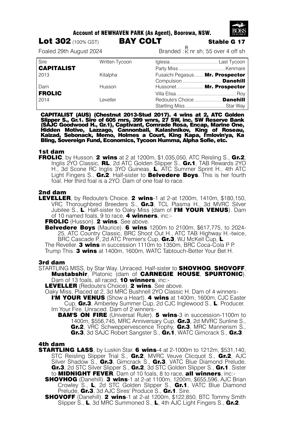 Pedigree - Lot 302