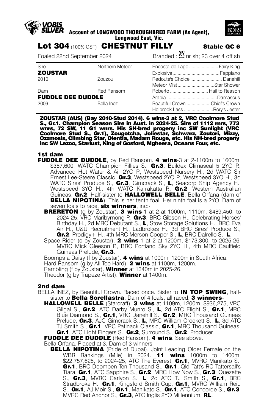 Pedigree - Lot 304