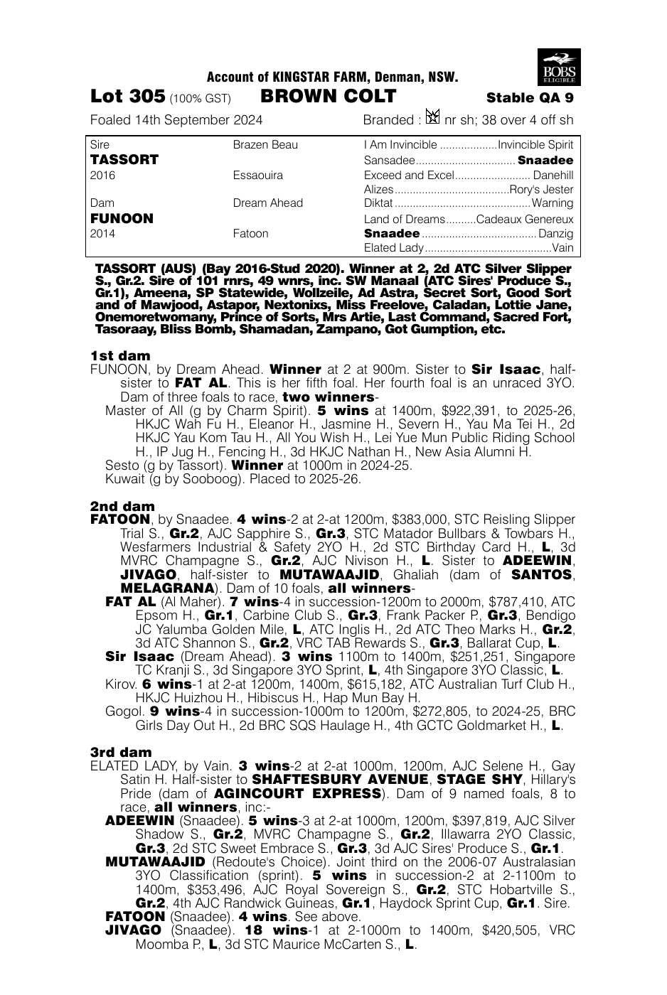 Pedigree - Lot 305