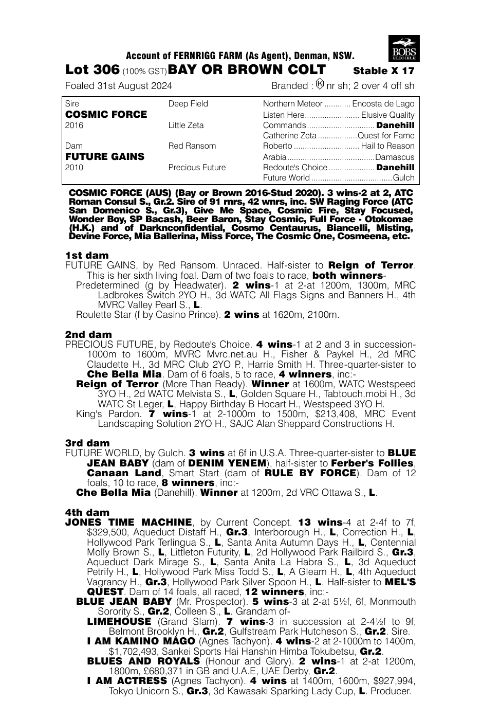 Pedigree - Lot 306