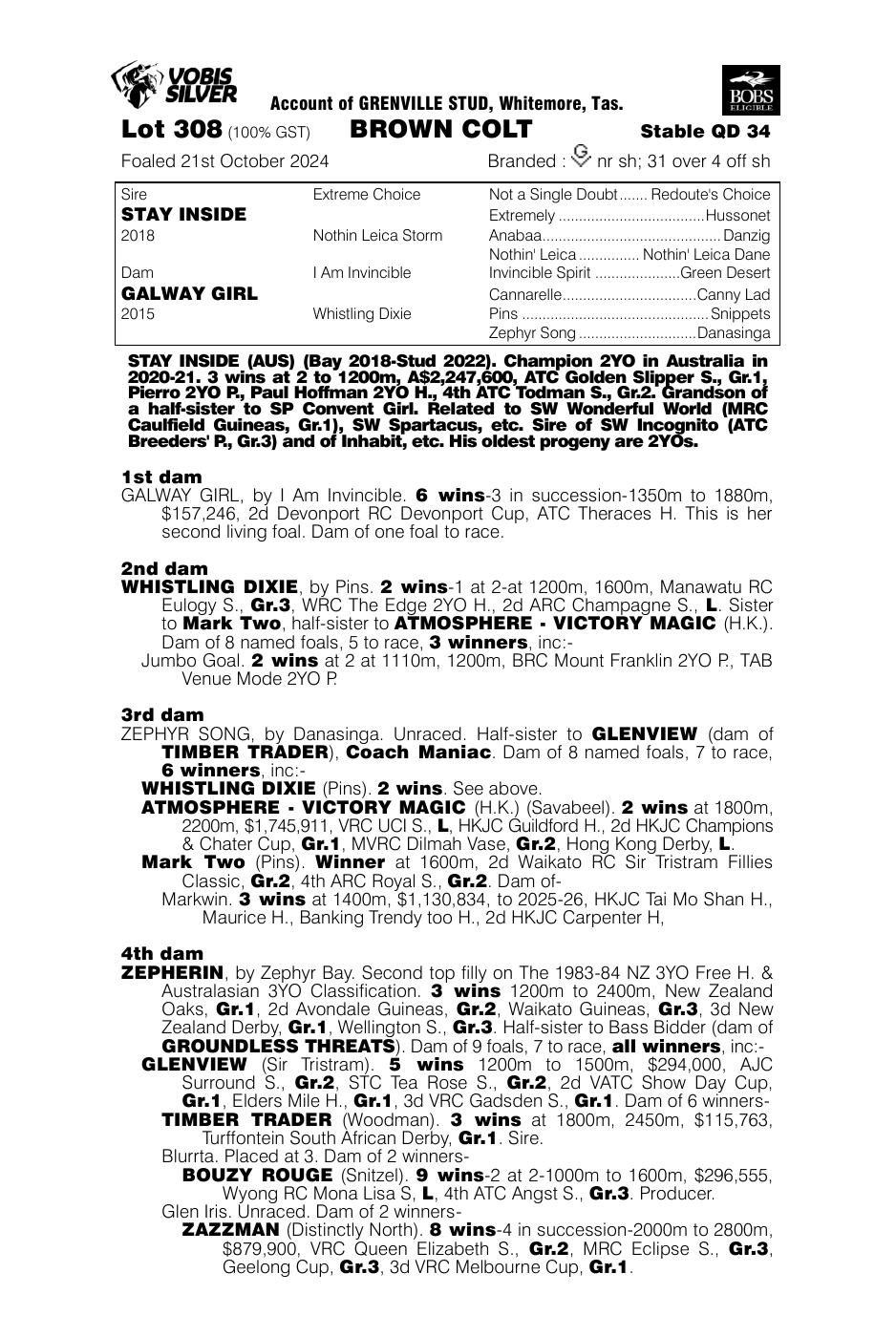 Pedigree - Lot 308