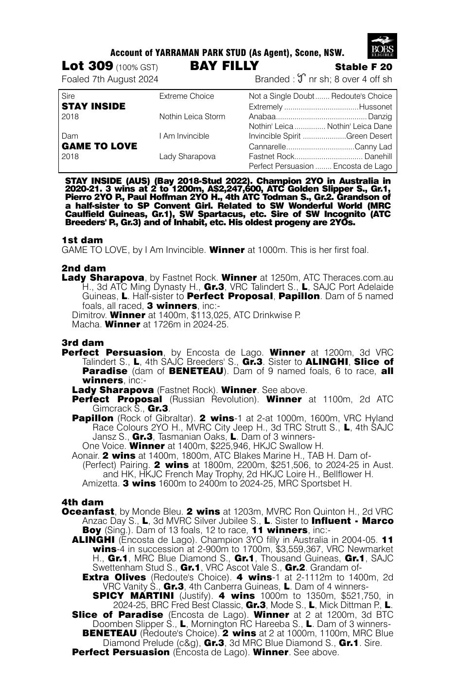 Pedigree - Lot 309
