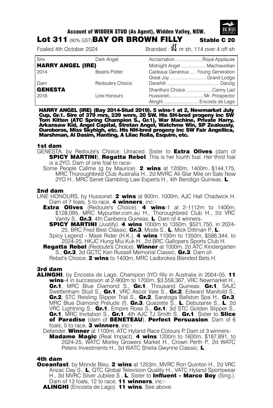 Pedigree - Lot 311