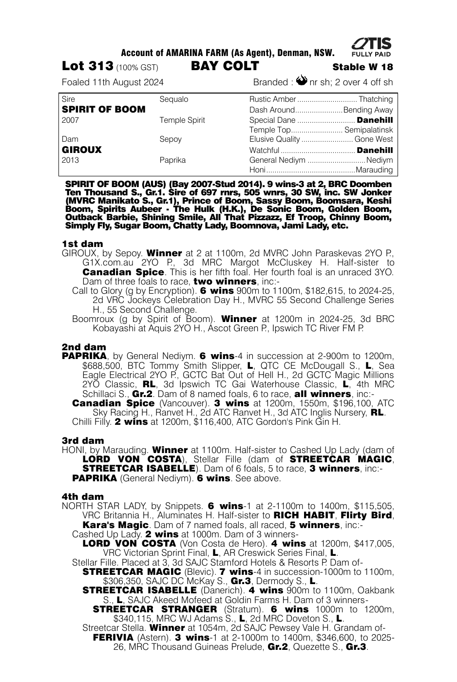 Pedigree - Lot 313