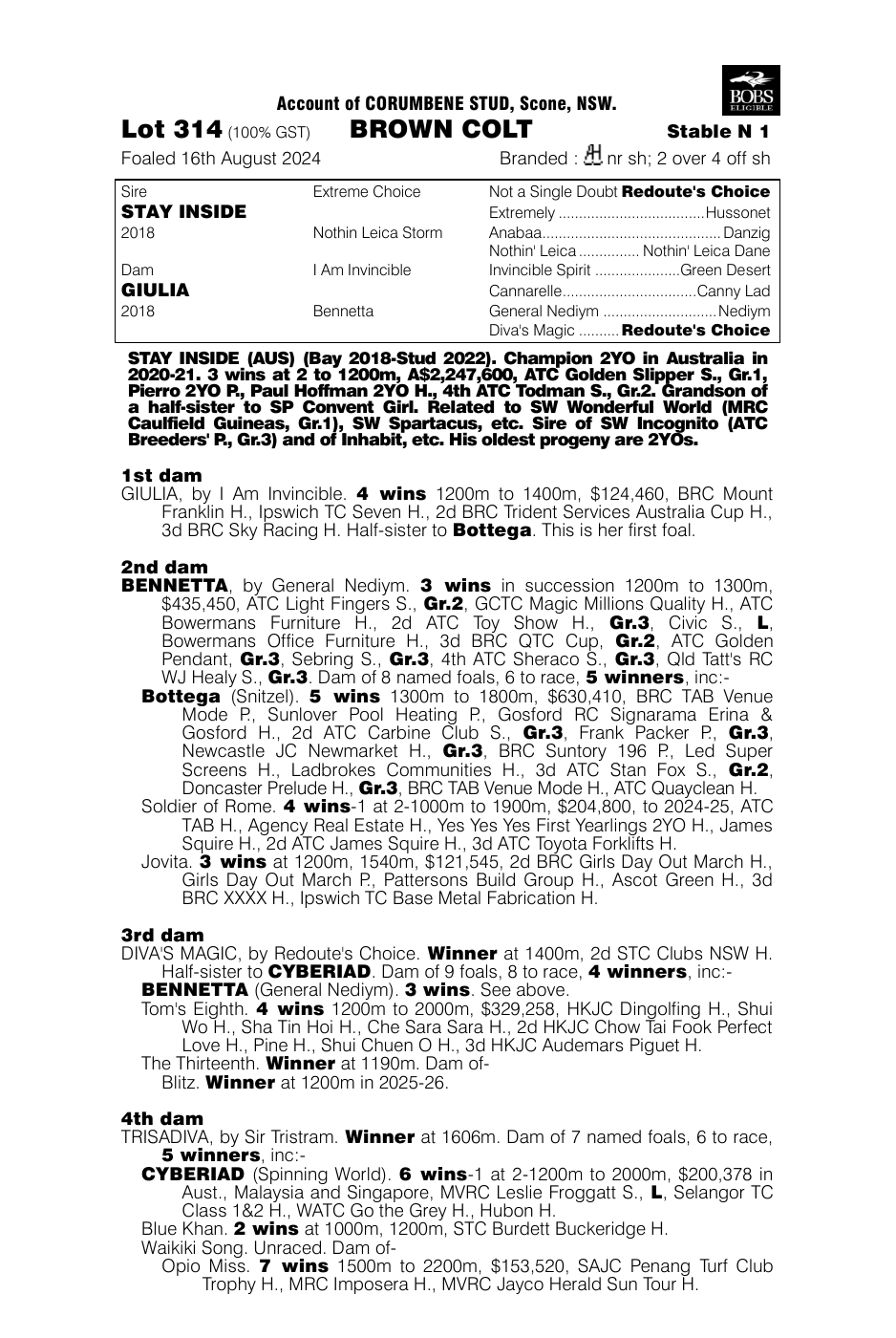Pedigree - Lot 314