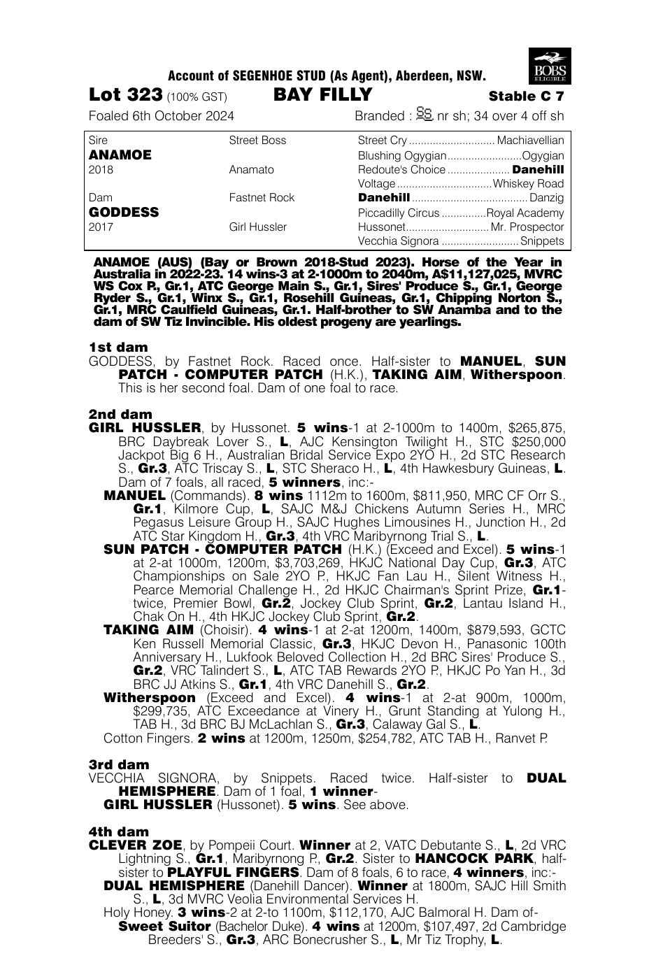 Pedigree - Lot 323