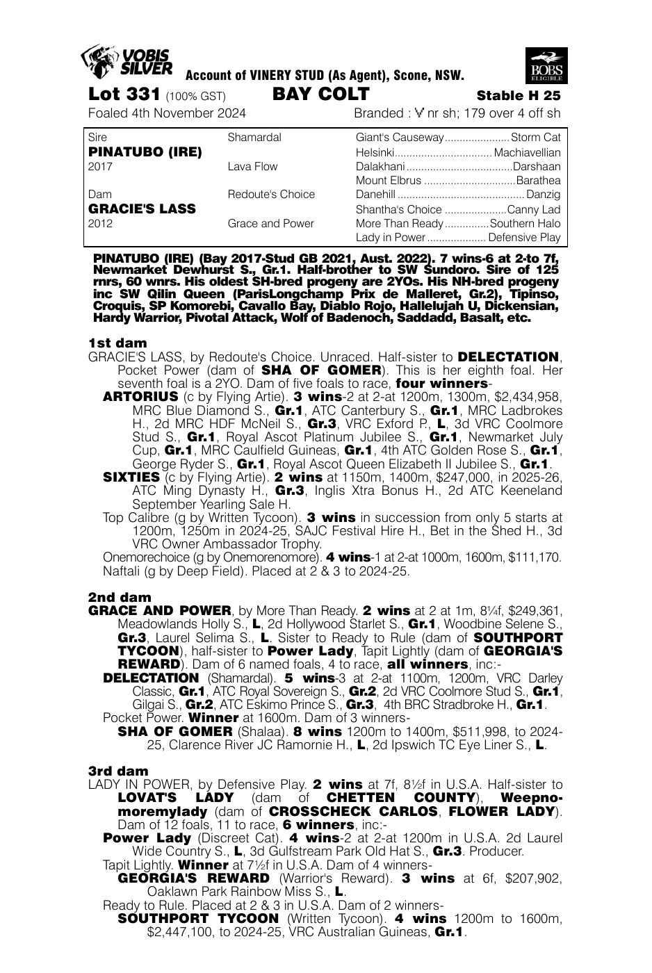 Pedigree - Lot 331