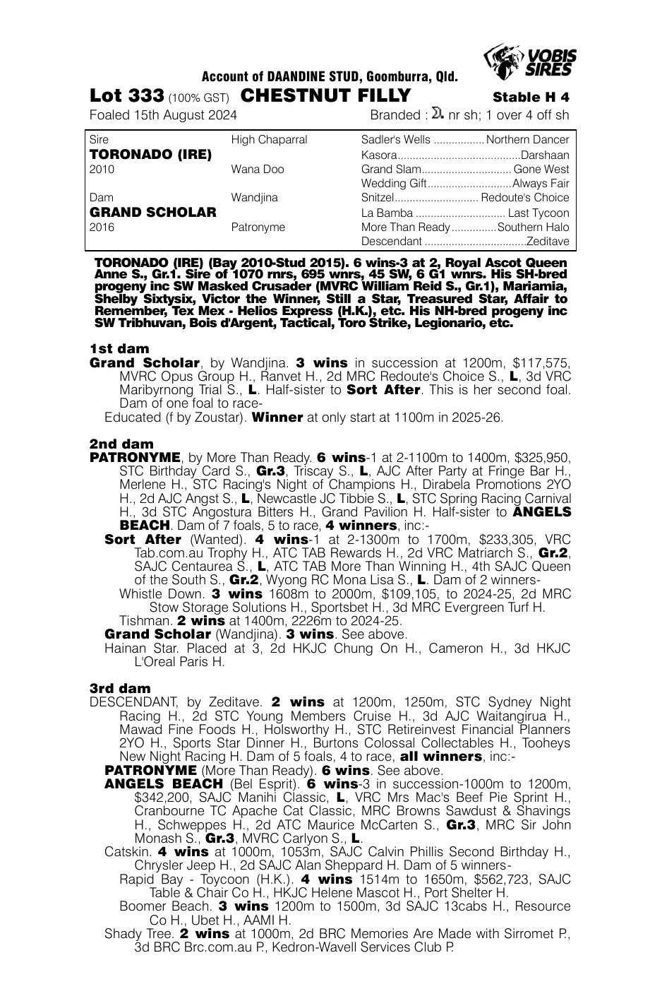 Pedigree - Lot 333