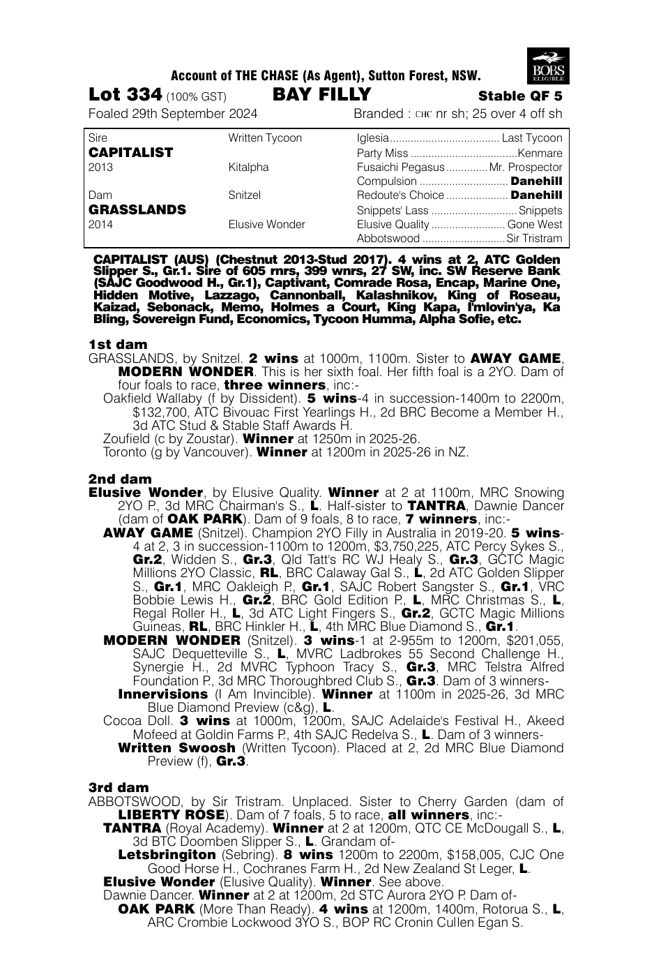 Pedigree - Lot 334