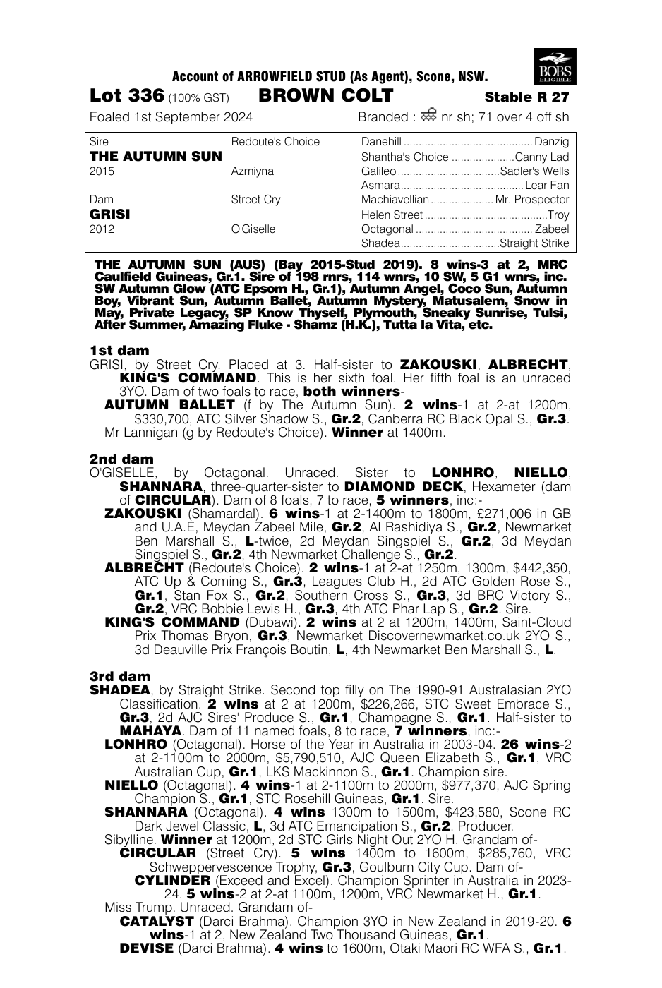 Pedigree - Lot 336