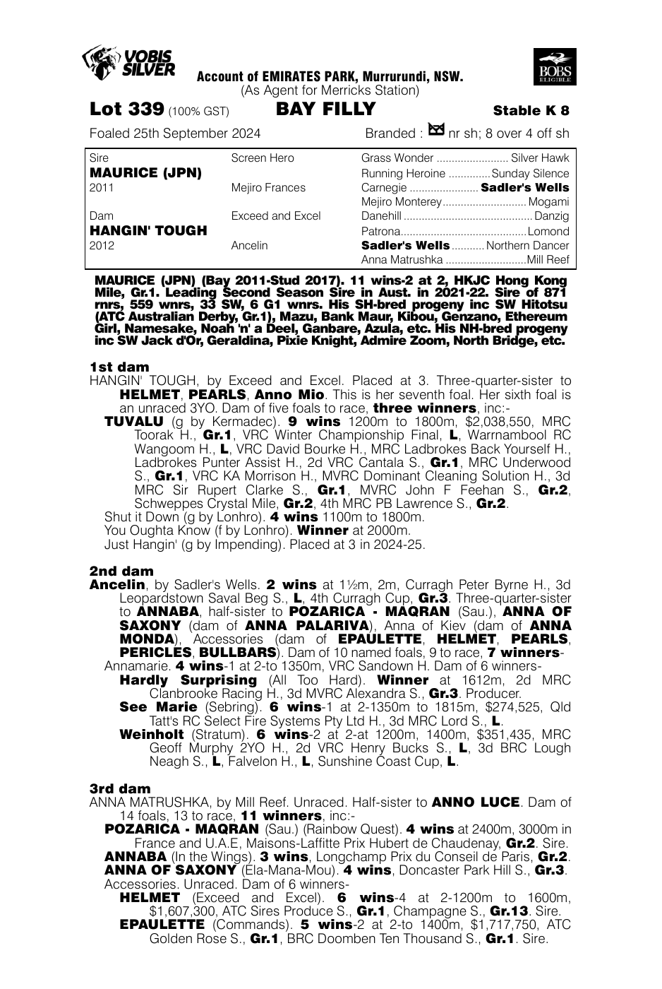 Pedigree - Lot 339