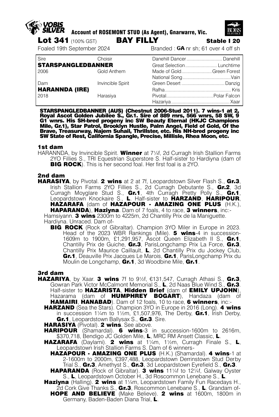 Pedigree - Lot 341