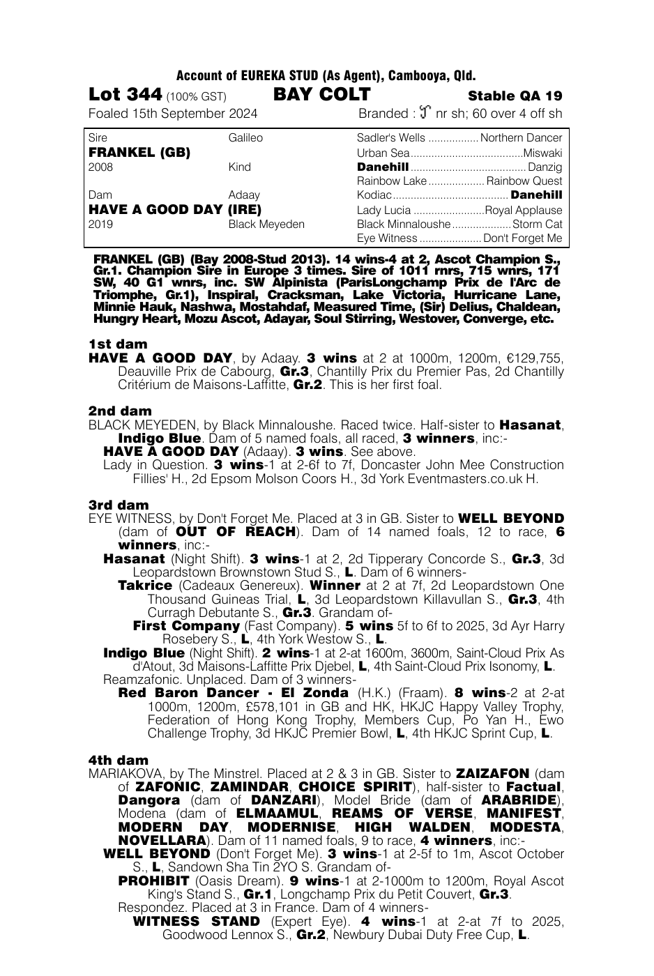 Pedigree - Lot 344