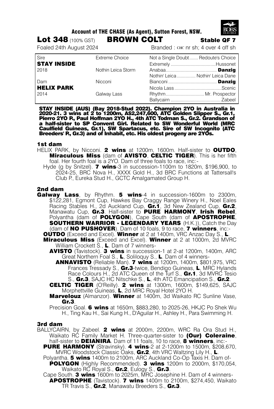 Pedigree - Lot 348