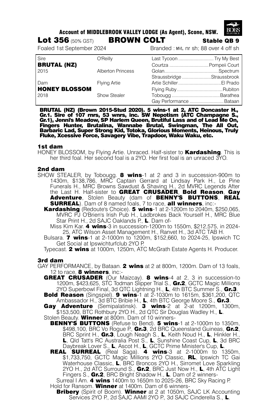Pedigree - Lot 356