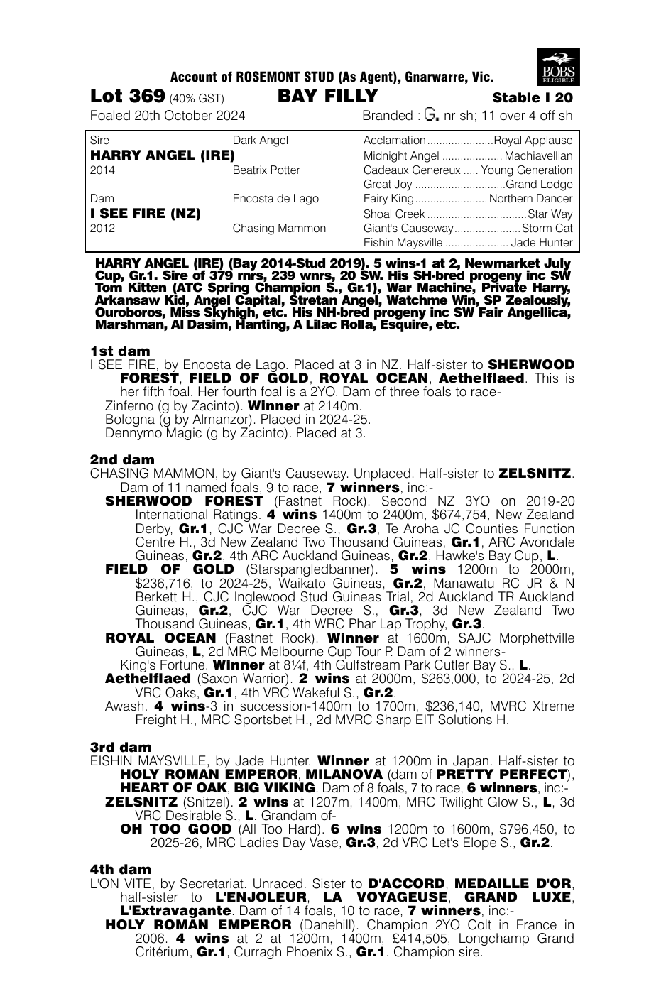Pedigree - Lot 369