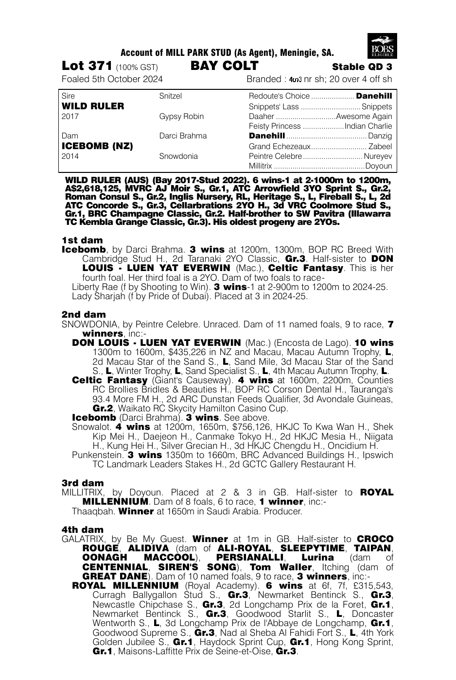 Pedigree - Lot 371