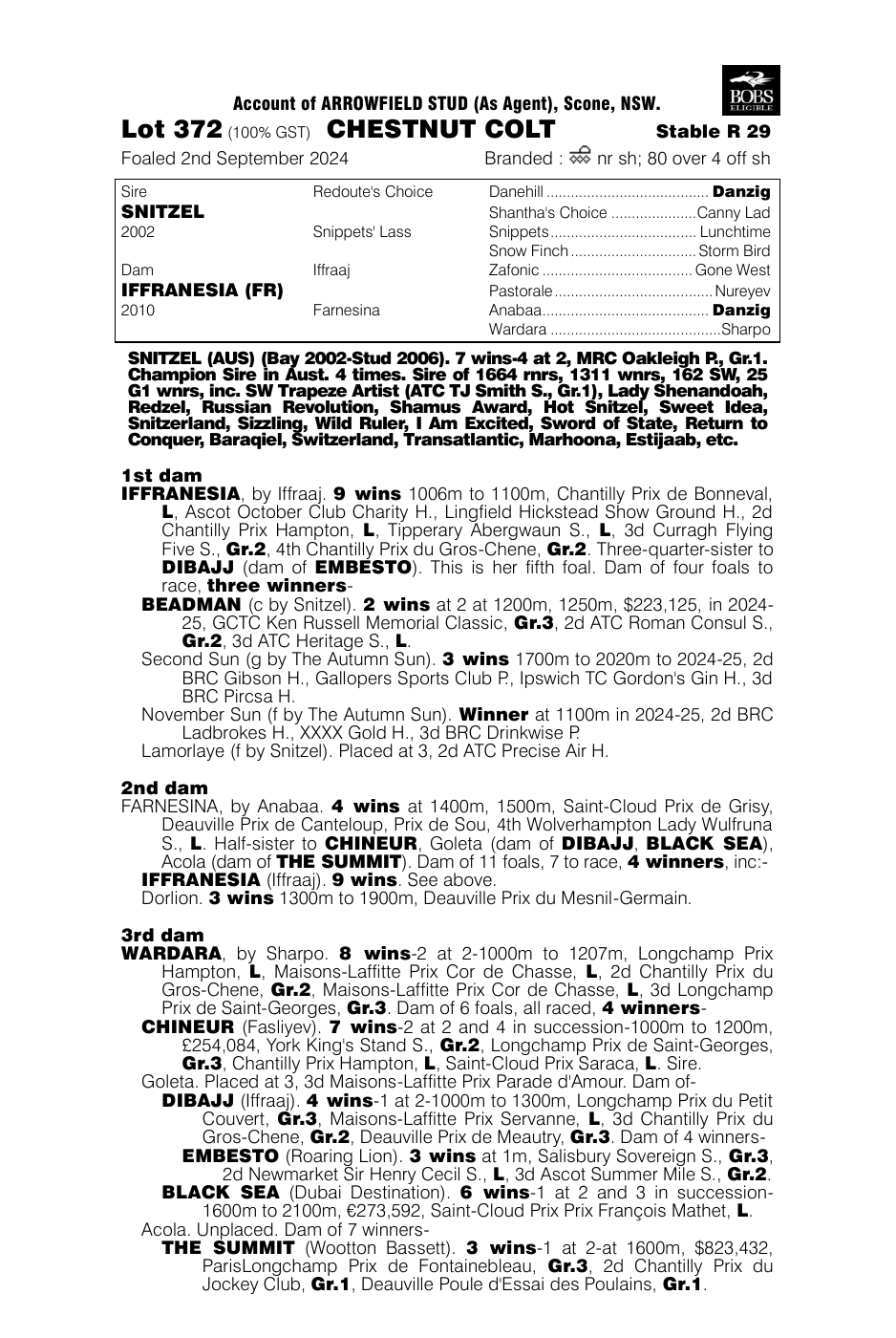 Pedigree - Lot 372