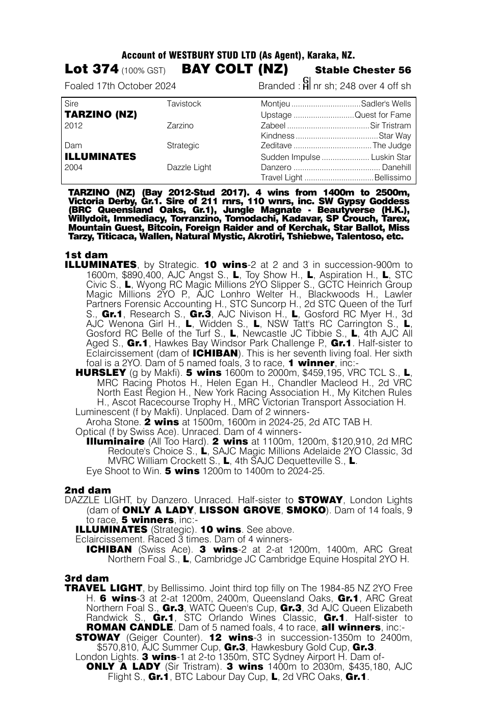 Pedigree - Lot 374