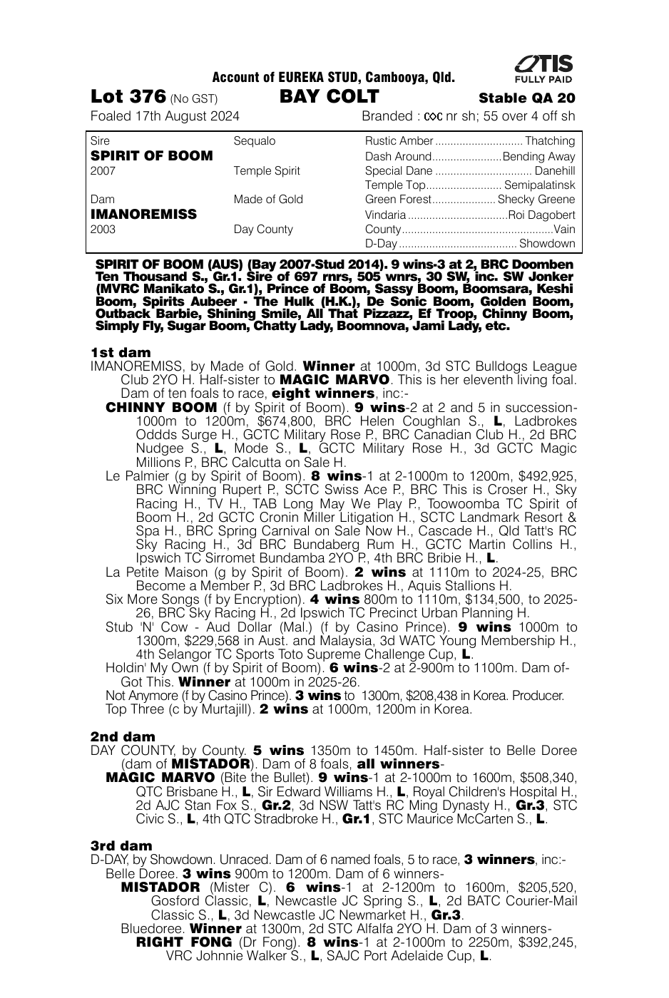 Pedigree - Lot 376