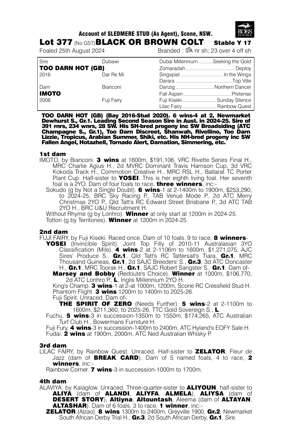 Pedigree - Lot 377