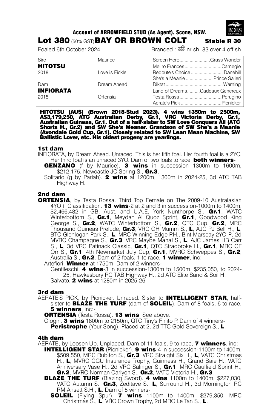 Pedigree - Lot 380