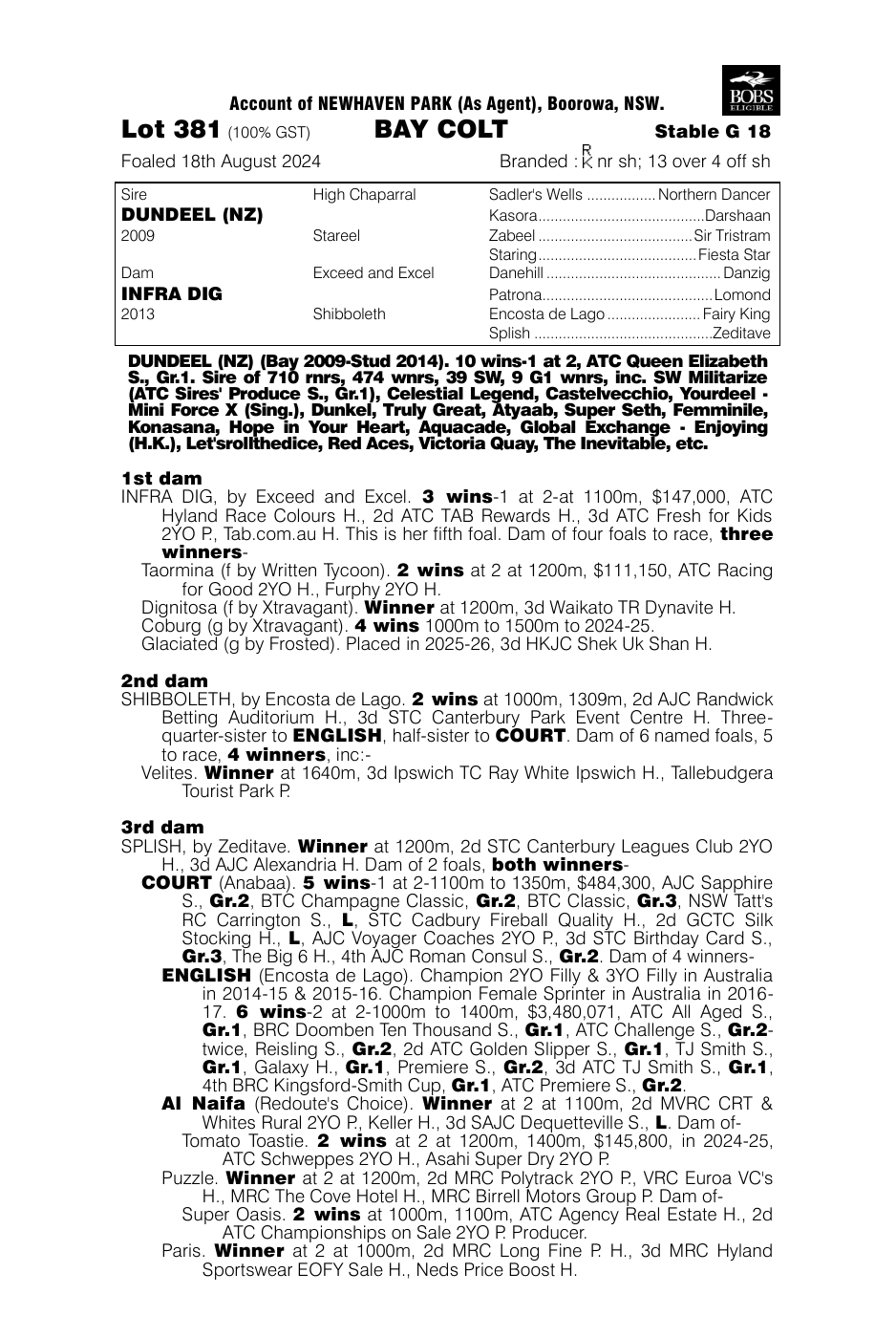Pedigree - Lot 381