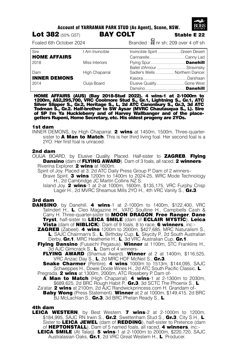 Pedigree - Lot 382