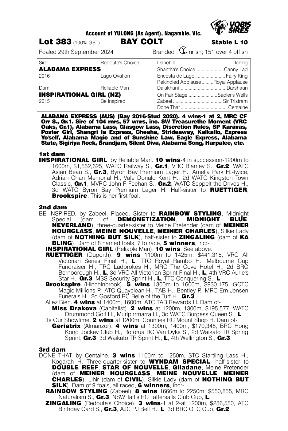 Pedigree - Lot 383