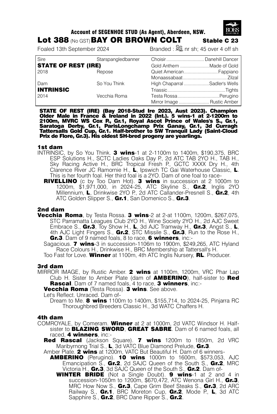 Pedigree - Lot 388