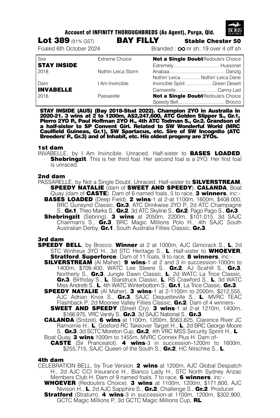 Pedigree - Lot 389